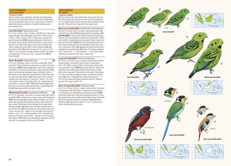 Birds of the Indonesian Archipelago sample page